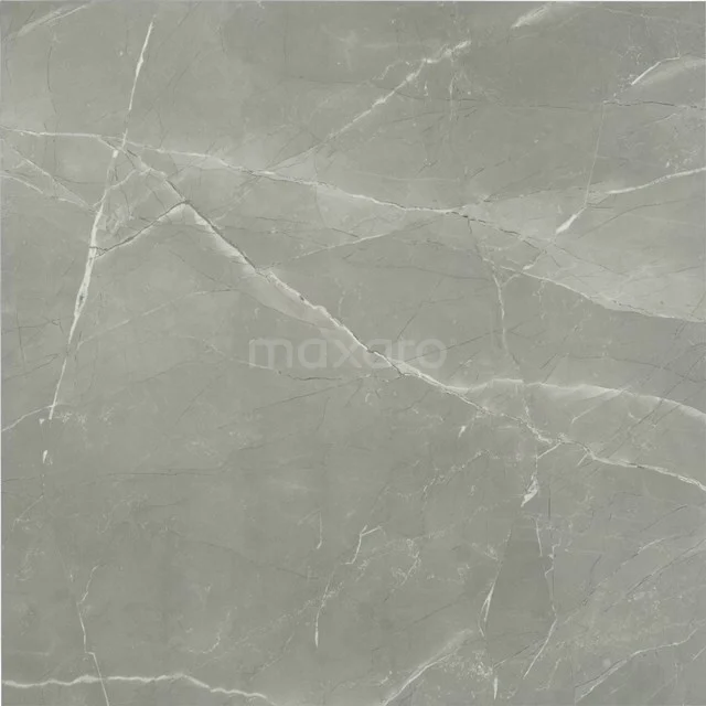 Frost grey Vloer-/Wandtegel | 60x60 cm Grijs Natuursteenlook 503-080102