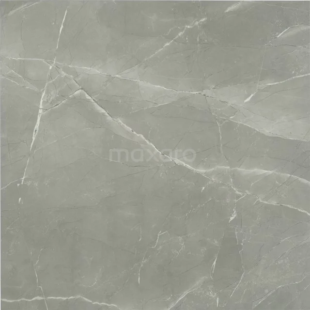 Tile sample, Floor tile/Wall tile, Frost Grey 503-0802TS