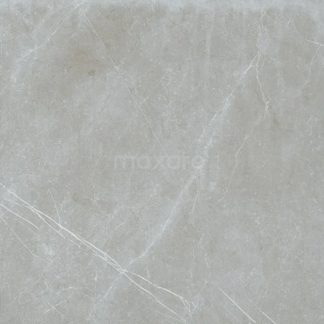 Avanto silver Vloer-/Wandtegel | 60x60 cm Grijs Natuursteenlook 503-100102