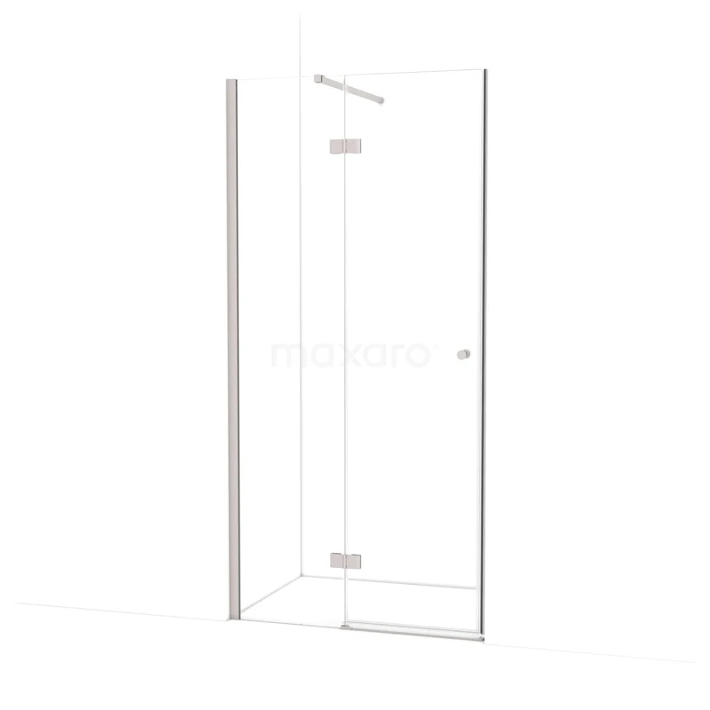 Amber Shower door | 100 cm Stainless steel Clear glass Pivot door WTB45110BR