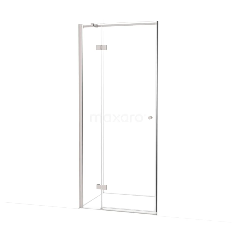 Amber Shower door | 80 cm Stainless steel Clear glass Pivot door WTB16310BR