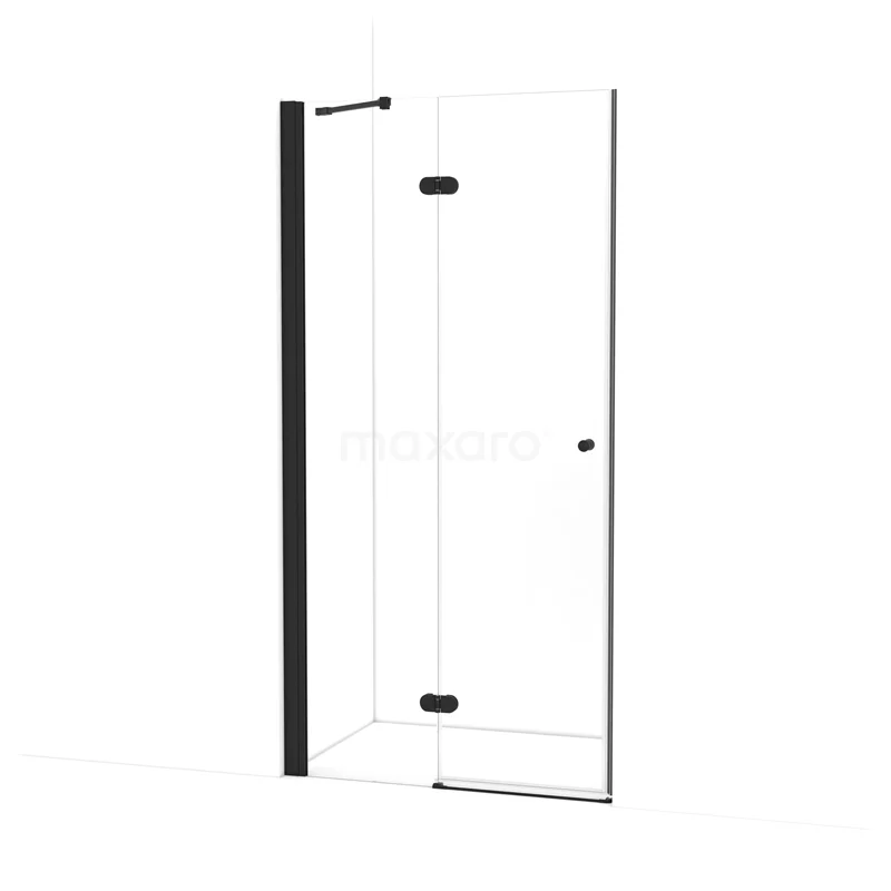 Amber Shower door | 100 cm Matte black Clear glass Pivot door WTB453220M