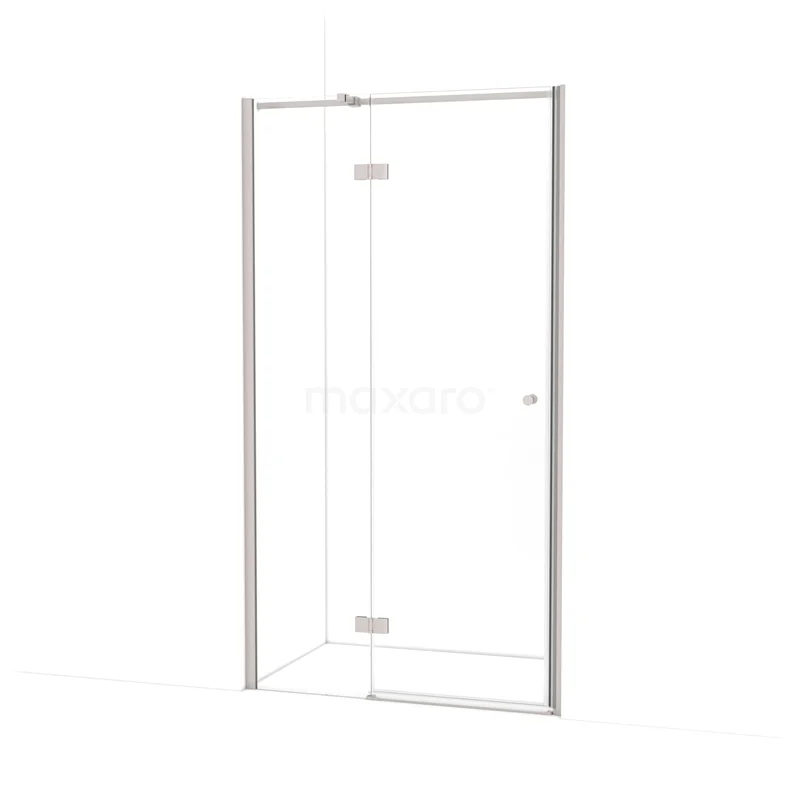 Amber Shower door | 100 cm Stainless steel Clear glass Pivot door WTC36310BR
