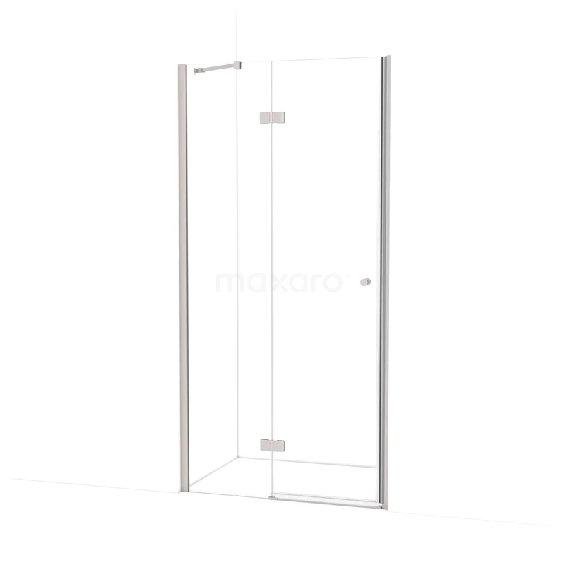 Amber Shower door | 100 cm Stainless steel Clear glass Pivot door WTC45210BR