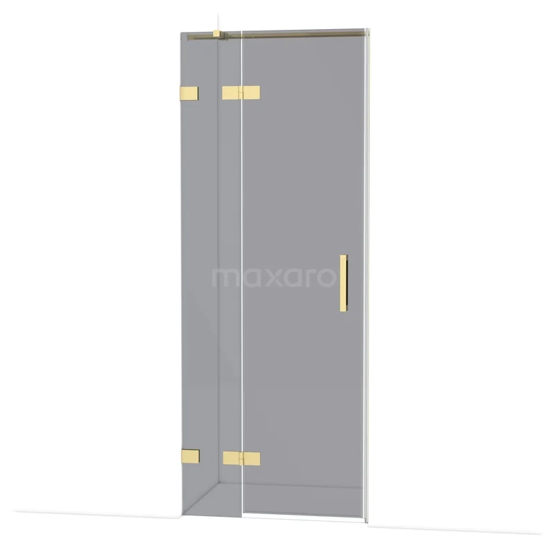 Glazen douchedeur met goudkleurige scharnieren en handgreep, ideaal voor een moderne badkamer.