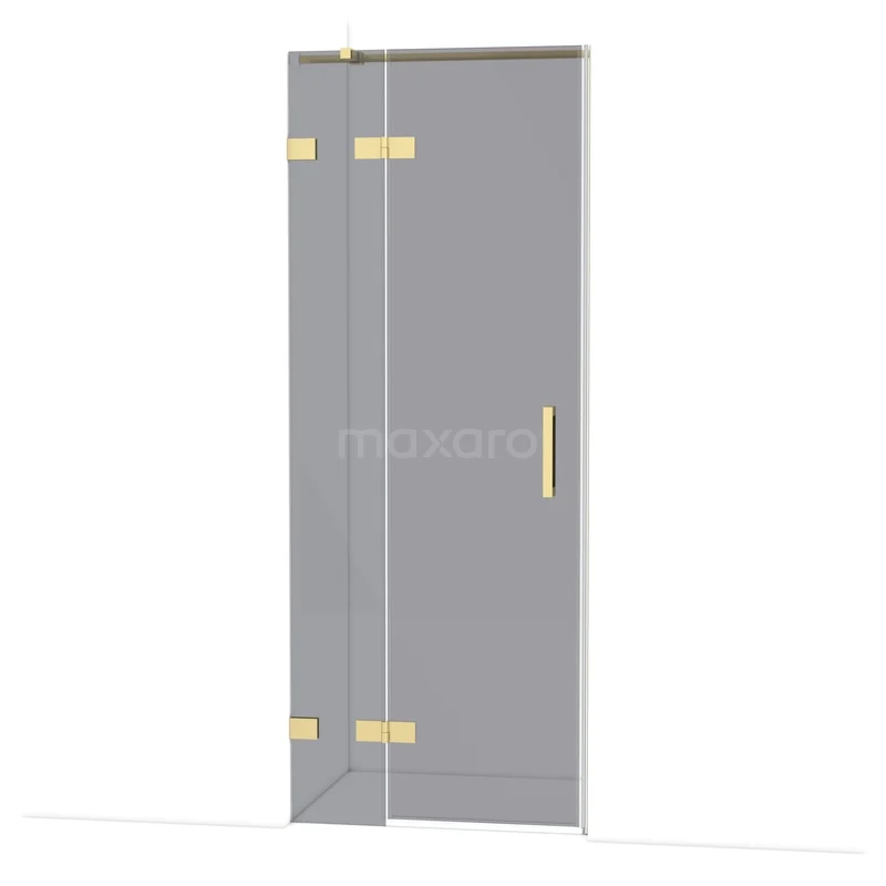 Glazen douchedeur met goudkleurige scharnieren en handvat, strak design ideaal voor een moderne badkamer.