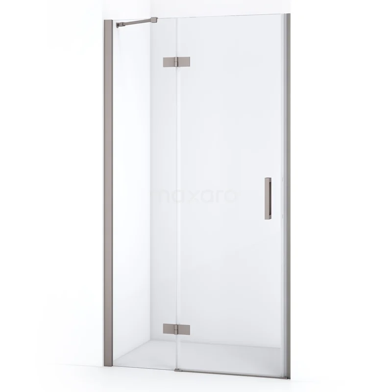 Diamond Shower door | 100 cm Stainless steel Clear glass Pivot door DDB21461210BR