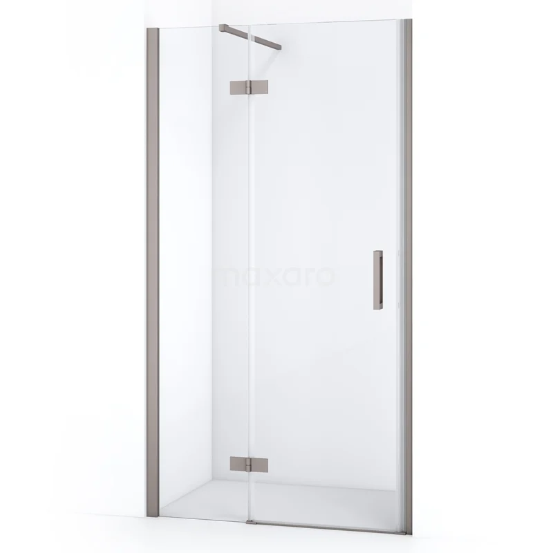 Diamond Shower door | 100 cm Stainless steel Clear glass Pivot door DDB21462110BR