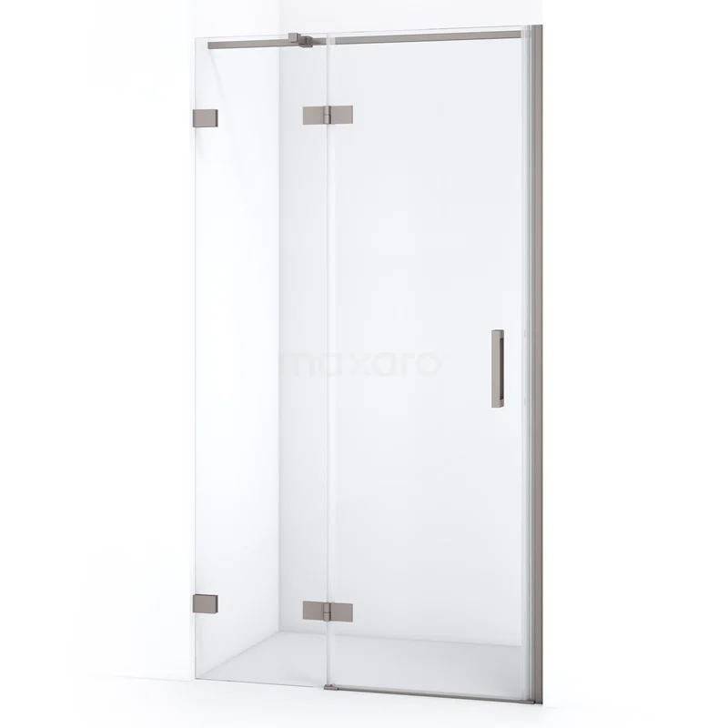Diamond Shower door | 100 cm Stainless steel Clear glass Pivot door DDB21462320BR