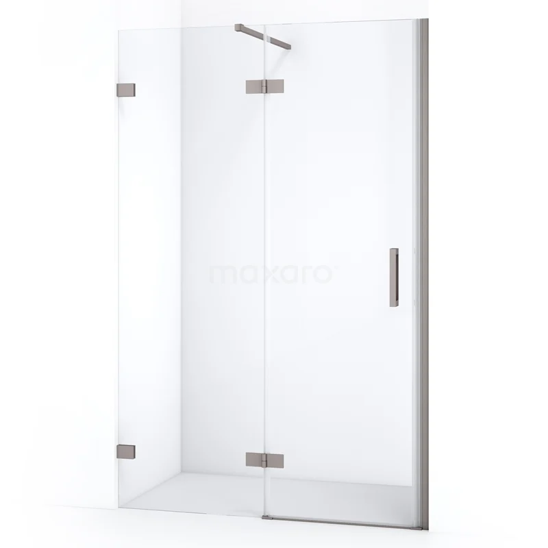 Diamond Shower door | 110 cm Stainless steel Clear glass Pivot door DDB21652120BR