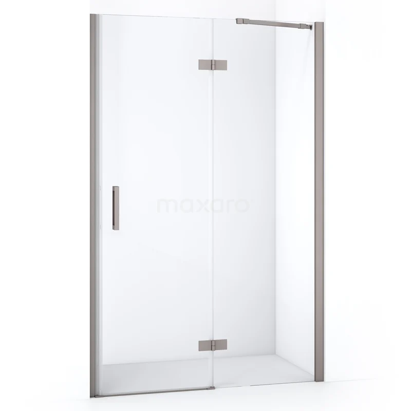 Diamond Shower door | 110 cm Stainless steel Clear glass Pivot door DDB22652210BR