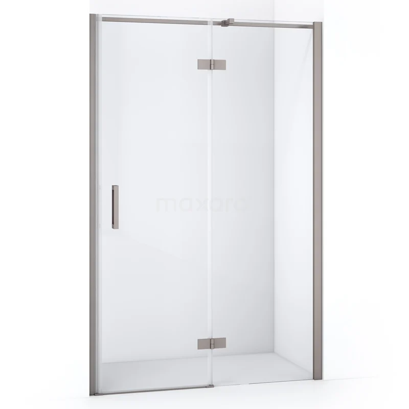 Diamond Shower door | 120 cm Stainless steel Clear glass Pivot door DDB22662310BR