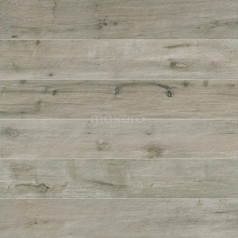 Tile sample, Floor tile/Wall tile, Vivido Grigio 405-0103TS